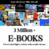 3 Million+ Ebooks + 3 Million PLR Articles Bonus with reseller rights |